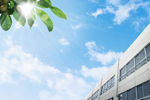 School Small and Medium Scale Image 01