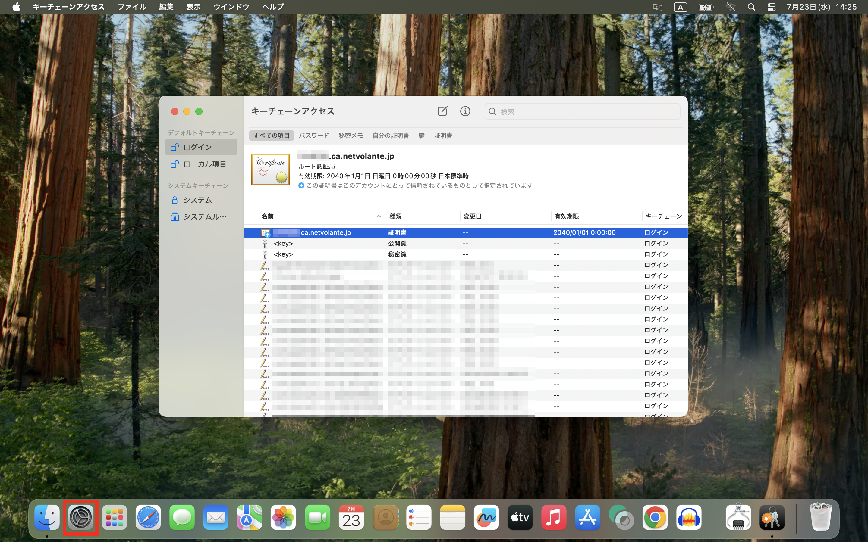 3 remotevpn mac vpn 01